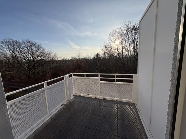 تصویر 2 Zimmer / 53,00 m² – Modern & Gemütlich: 2-Zimmer-Wohnung in Buckow