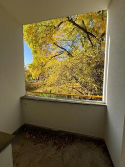 تصویر 2 Zimmer / 50,19 m² – Ihr neues Zuhause mit goldenem Baumblick, Glienicker Weg 152B, EG LI