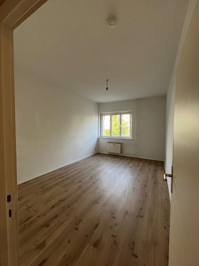 تصویر 2 Zimmer / 54,17 m² – 2- Zimmer in ruhiger Lage, Otto-Franke-Str. 55, 1.G LI