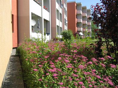 تصویر 1 Zimmer / 37,93 m² – *Singlewohnung* ab sofort verfügbar!