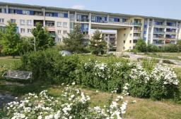 تصویر 3 Zimmer / 78,63 m² – Mit Einbauküche , Sieboldstr. 5, 2.G LI