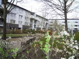 تصویر 3 Zimmer / 75,77 m² – Kalker Str. 2, 1.G LI - WBS 140 mit besonderen Wohnbedarf