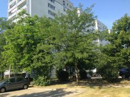 تصویر 2 Zimmer / 45,76 m² – Nachmieter mit passendem WBS für gemütliche 2-Zimmer Wohnung gesucht