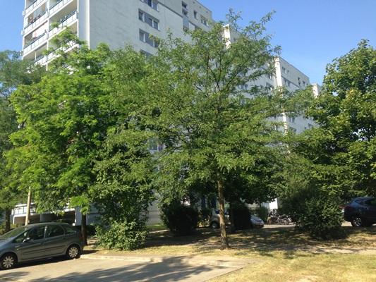تصویر 2 Zimmer / 45,76 m² – Nachmieter mit passendem WBS für gemütliche 2-Zimmer Wohnung gesucht