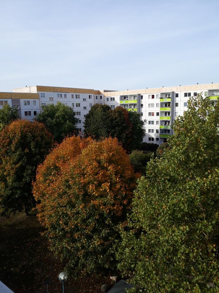 تصویر 4 Zimmer / 75,70 m² – Erich-Kästner-Str. 4 / 4-Raum-Wohnung 03. OG - Malerarbeiten notwendig