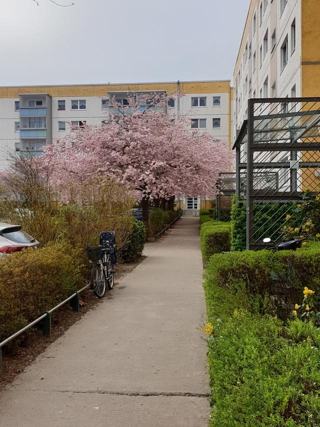 تصویر 4 Zimmer / 75,70 m² – Erich-Kästner-Str. 4 / 4-Raum-Wohnung 03. OG - Malerarbeiten notwendig
