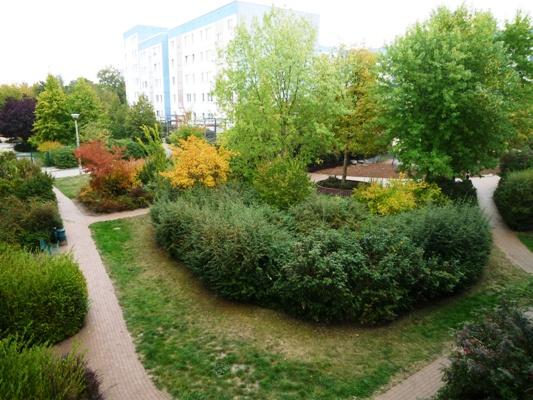 تصویر 2 Zimmer / 53,08 m² – Wohnung mit schönem Ausblick